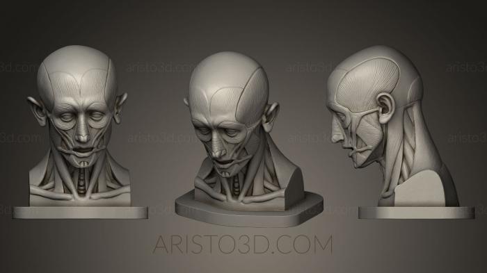 Busts and bas-reliefs of famous people (BUSTC_0442) 3D model for CNC machine